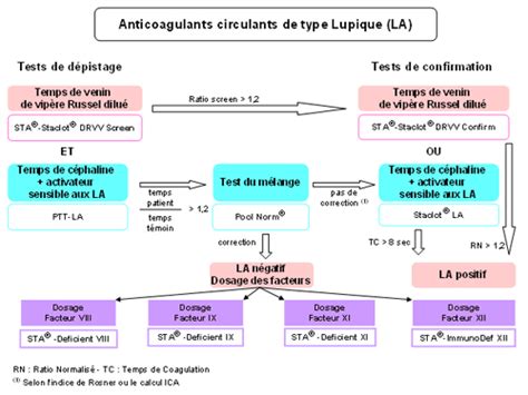 anticoagulant lupic bioclinica|Recherche d’un anticoagulant circulant de type lupique